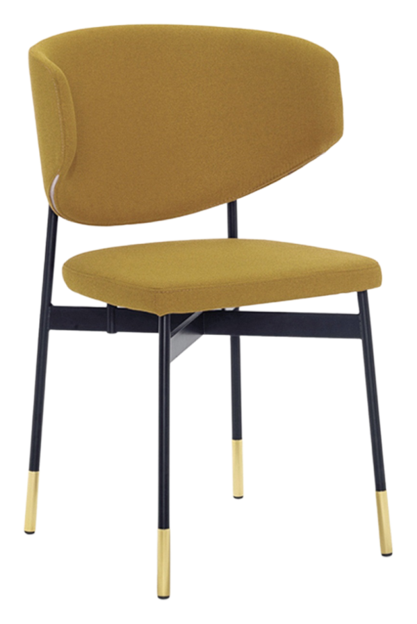 dalia-se-2